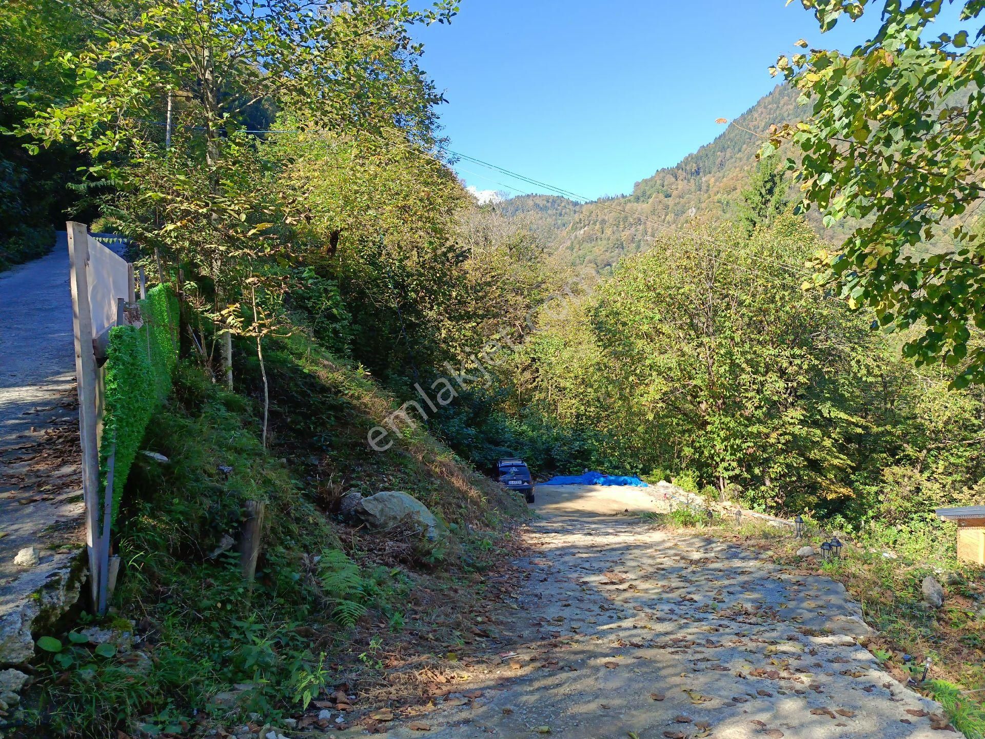Turizm Bölsenin Gözde Yerinde Ayder Yaylasında 10 Dk Mesafede Herşeyi Hazır Durumda Tesis - Görsel 22