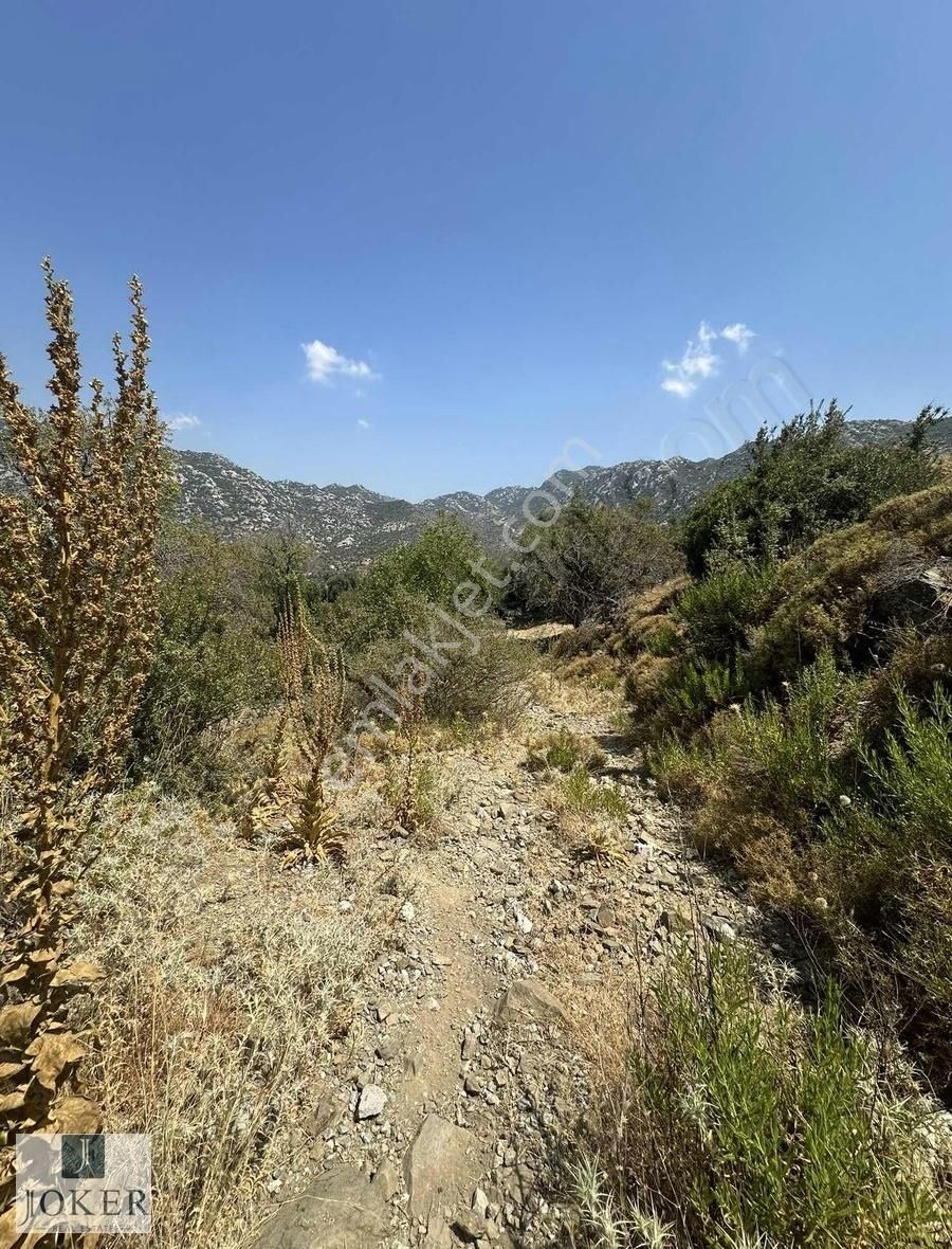 Joker: Marmaris Söğüt Deniz Manzaralı Yol Cephe Yaşam Alanı - Görsel 7