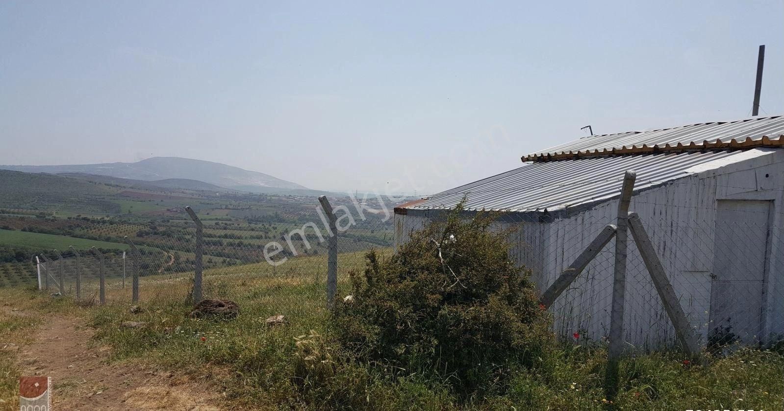 Bursa Karacabey Doğla Da Satılık Arsa - Görsel 9