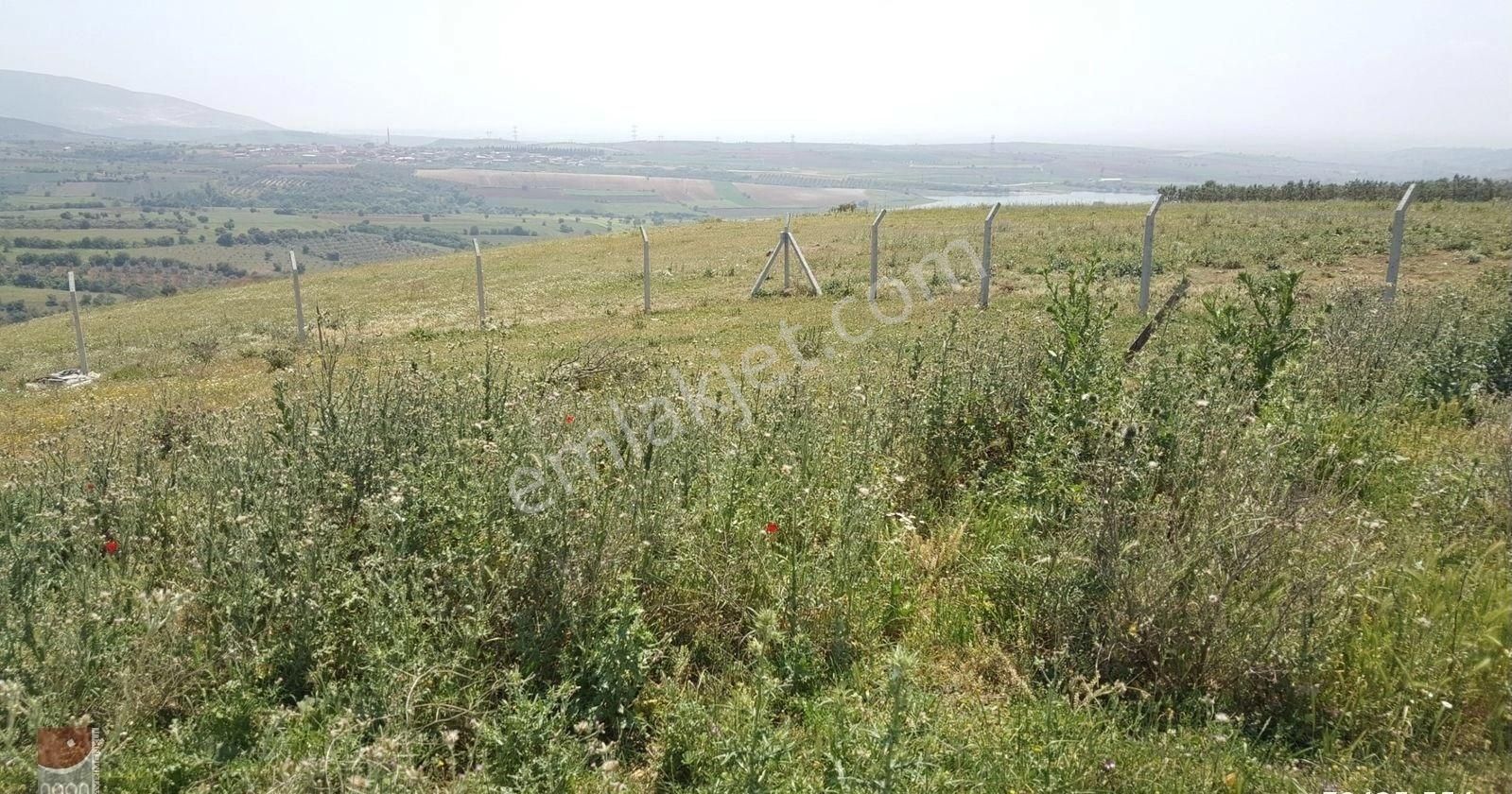 Bursa Karacabey Doğla Da Satılık Arsa - Görsel 6