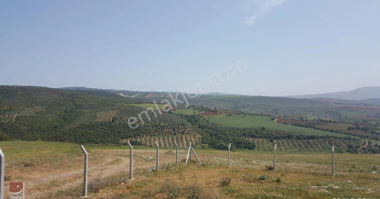 Bursa Karacabey Doğla Da Satılık Arsa - Görsel 4