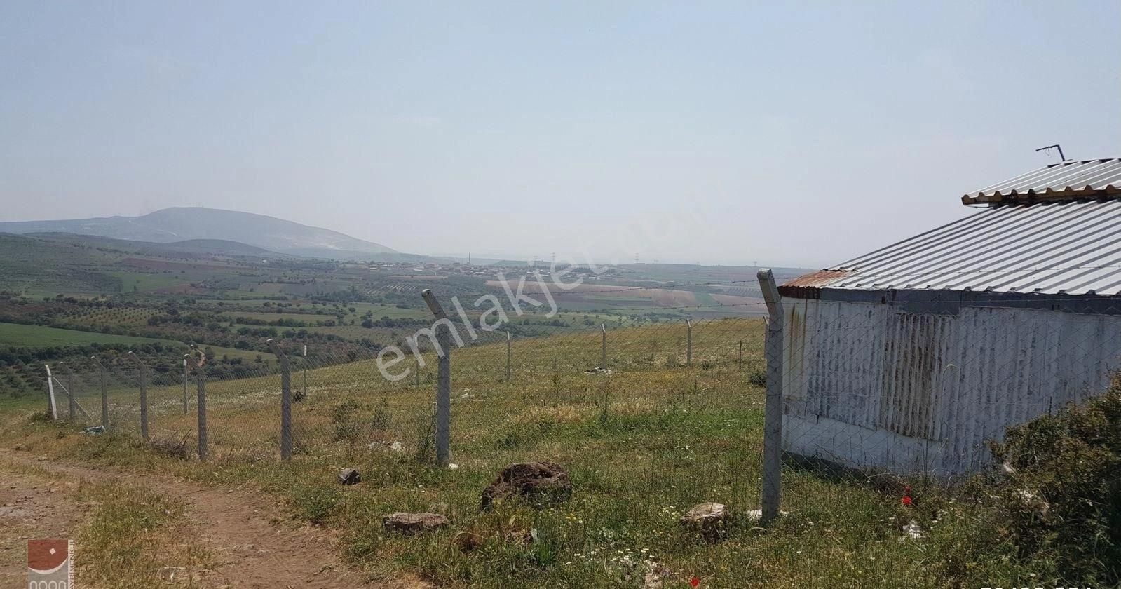 Bursa Karacabey Doğla Da Satılık Arsa - Görsel 7