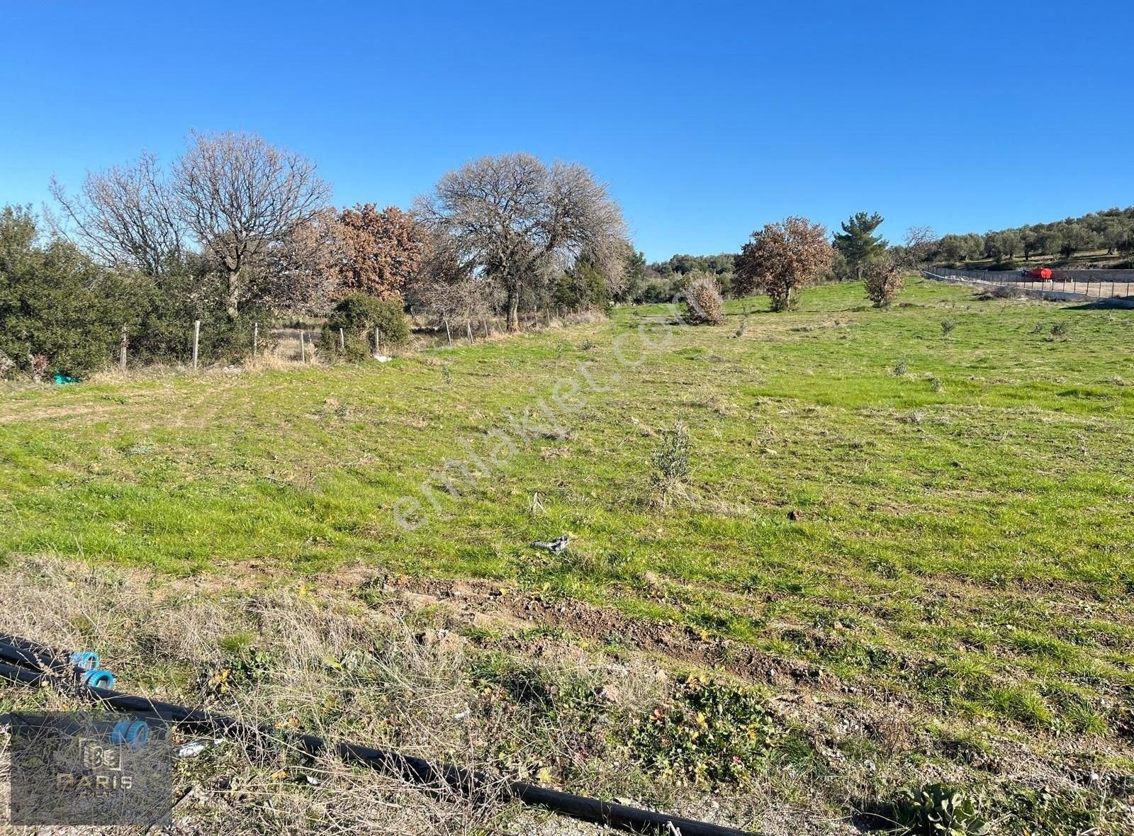 Çanakkale Ezine Gökçebayır Köyünde Satılık Asfalt Cepheli Tarla - Görsel 11