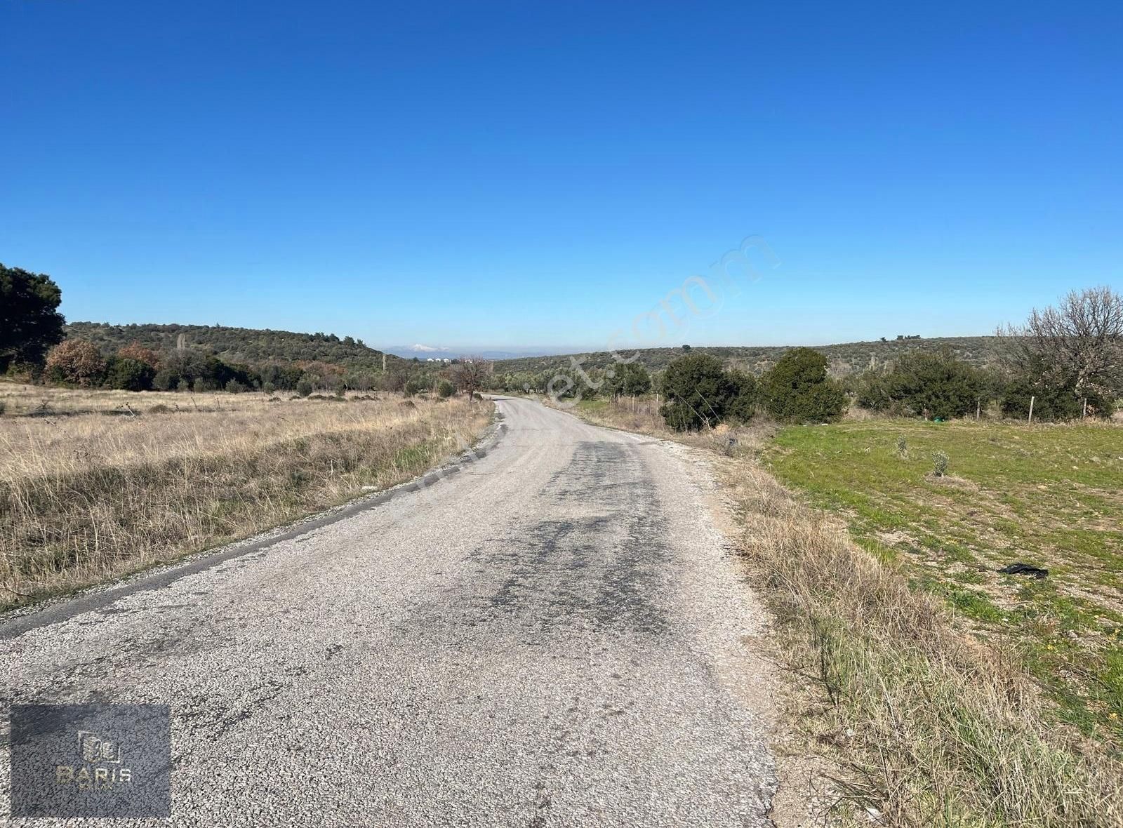 Çanakkale Ezine Gökçebayır Köyünde Satılık Asfalt Cepheli Tarla - Görsel 10