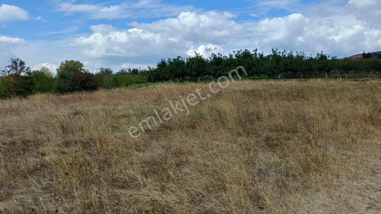 Kocaeli Karamürsel Akçat 3539 M² %5 İmarlı Yatırımlık Tarla - Görsel 5