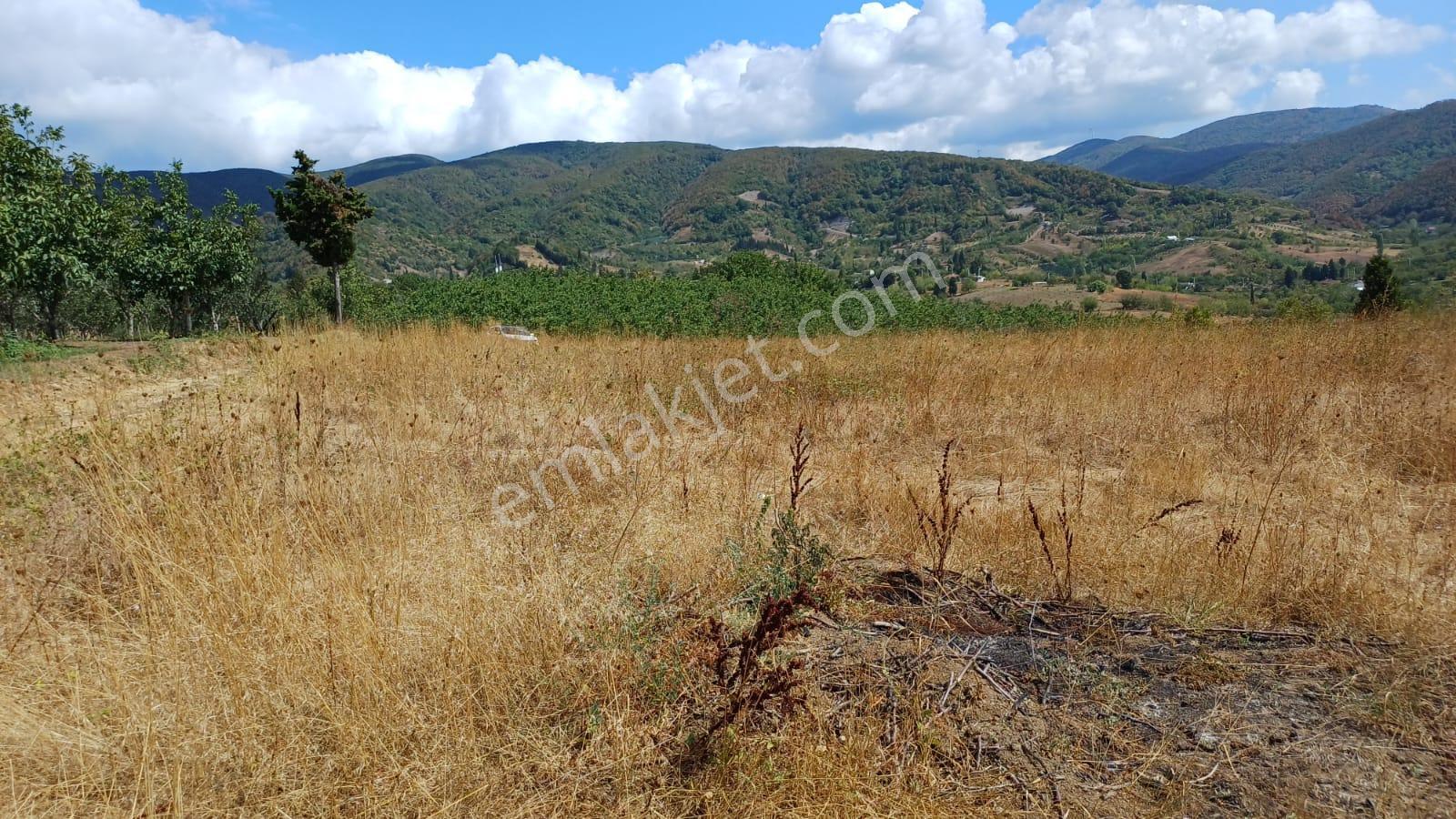 Kocaeli Karamürsel Akçat 3539 M² %5 İmarlı Yatırımlık Tarla - Görsel 6