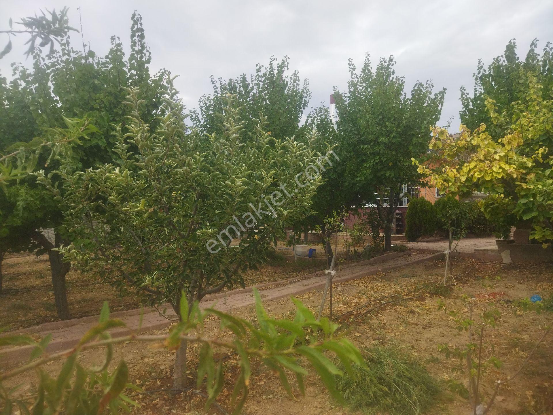 Gülistan Parsellerinde Satılık Arsa İçinde Evi Olan - Görsel 18