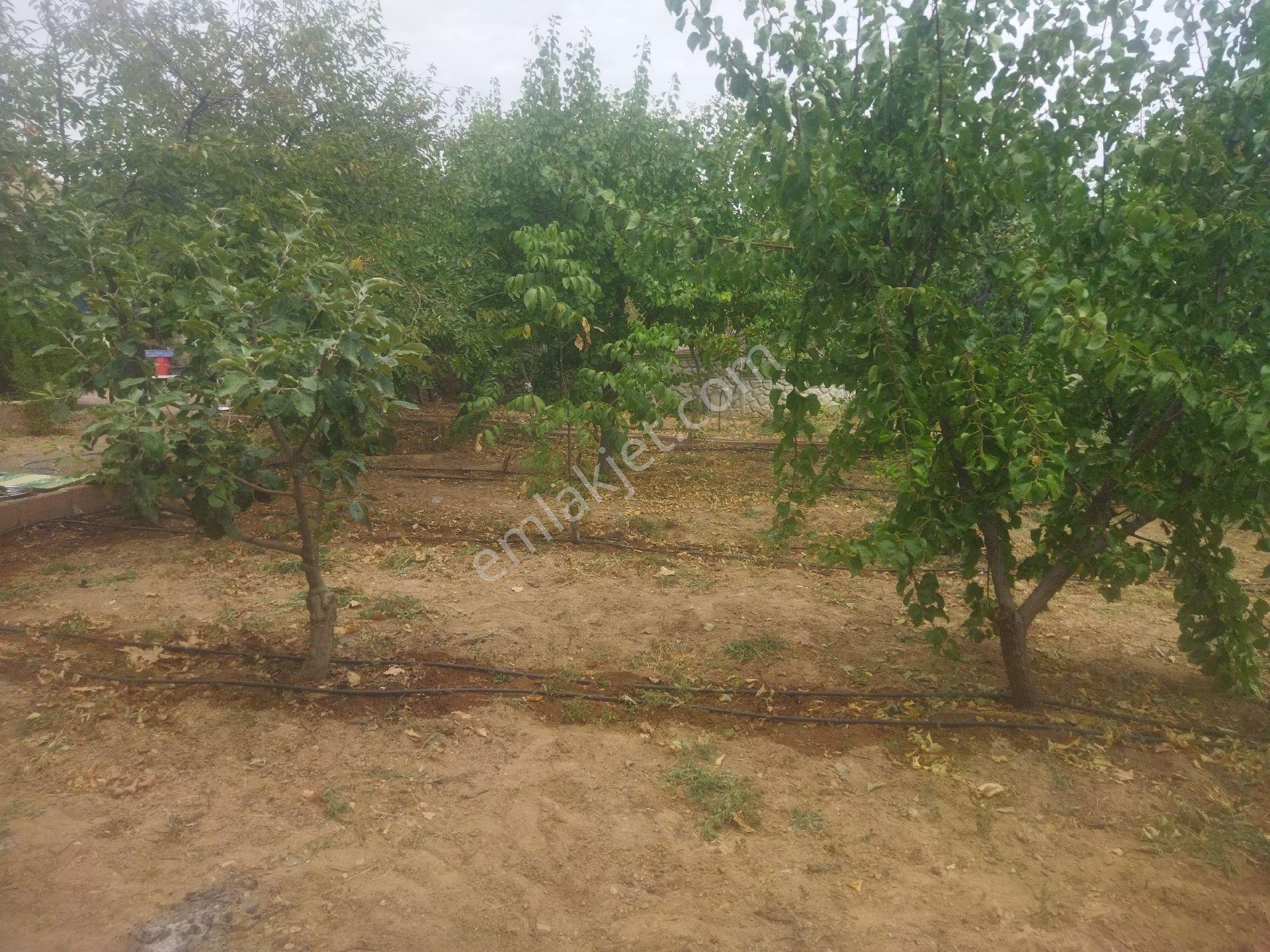 Gülistan Parsellerinde Satılık Arsa İçinde Evi Olan - Görsel 20