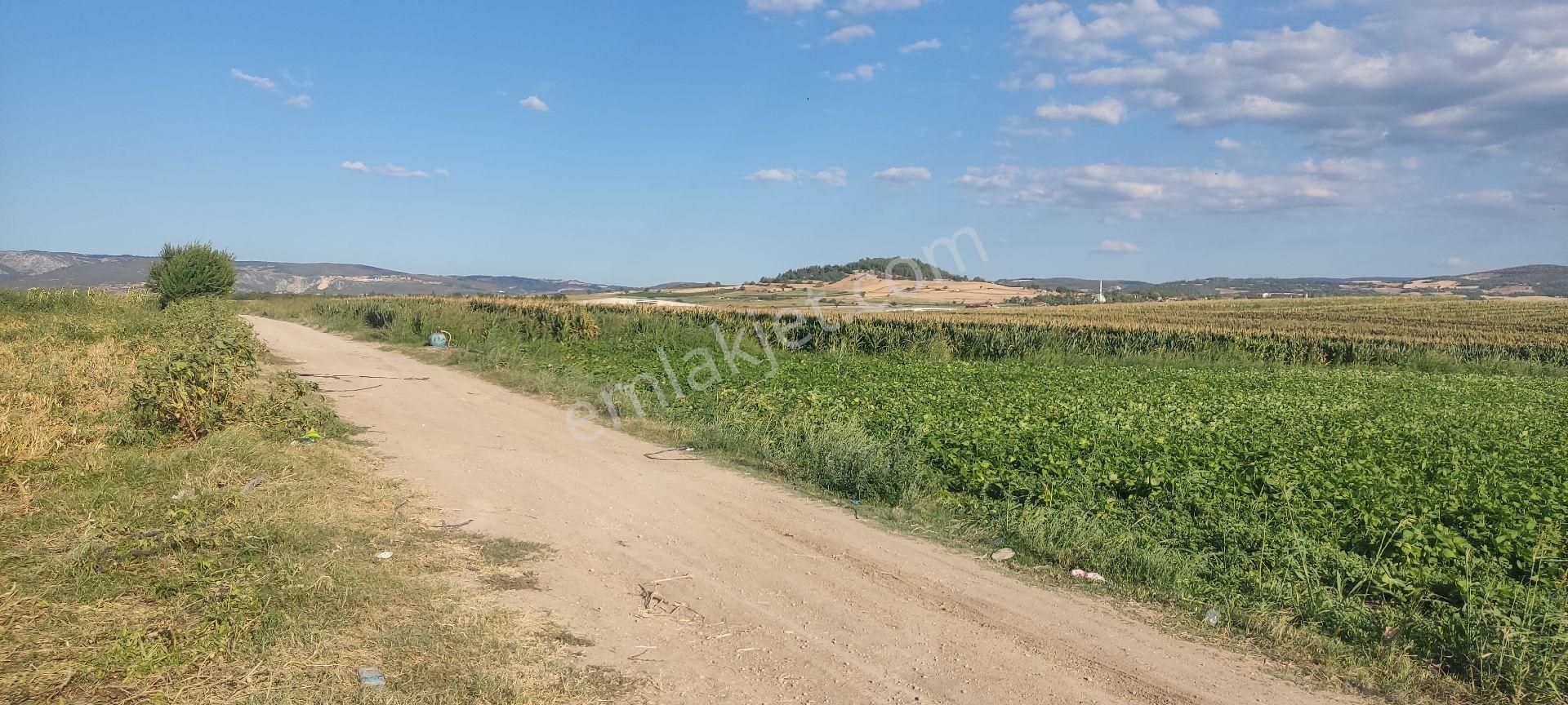 Bursa Yenişehir Ebeköy Suyu Var Tarla - Görsel 16
