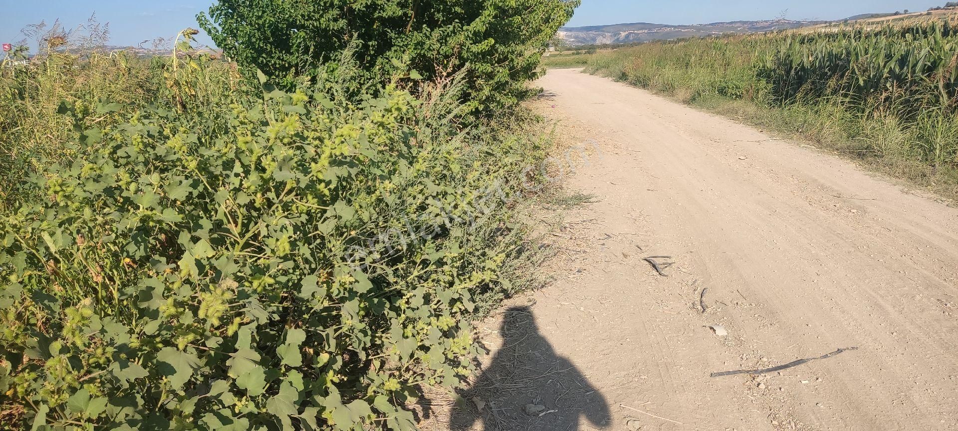 Bursa Yenişehir Ebeköy Suyu Var Tarla - Görsel 4