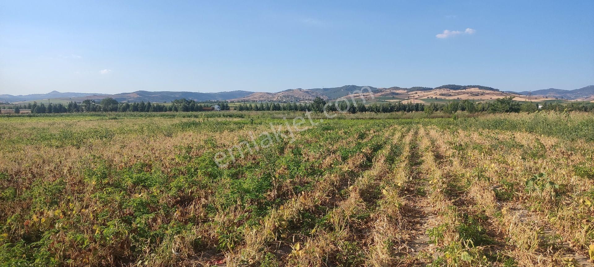 Bursa Yenişehir Ebeköy Suyu Var Tarla - Görsel 3