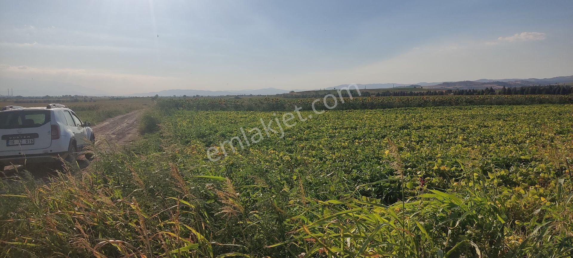 Bursa Yenişehir Ebeköy Suyu Var Tarla - Görsel 18