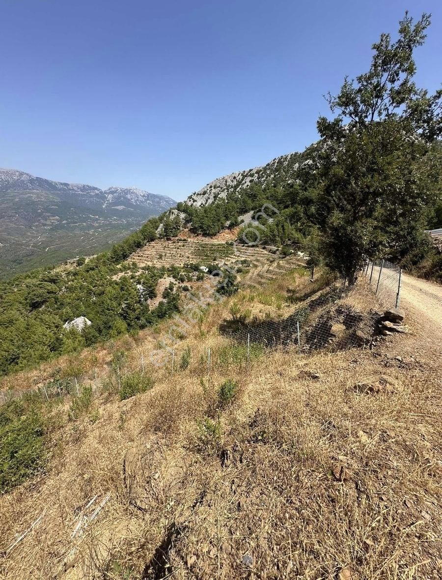 Alanya Çamlıcada 7 Dönüm Arsa - Görsel 4