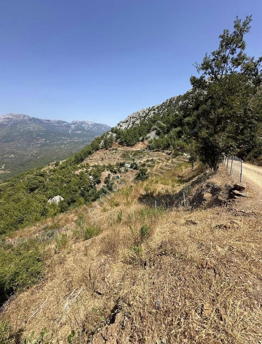 Alanya Çamlıcada 7 Dönüm Arsa - Görsel 7