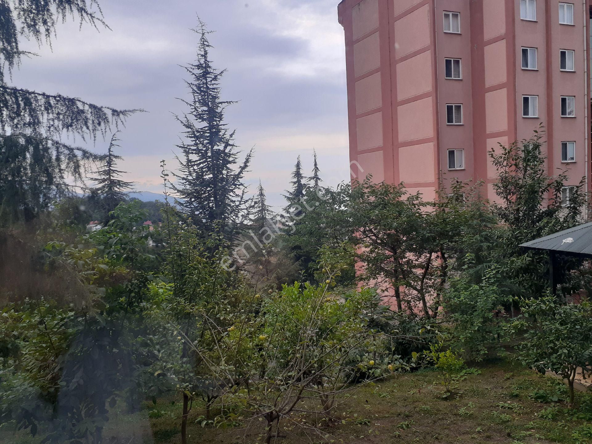 Golden Key Gayrimenkul'den Satılık Eşyalı Daire - Görsel 18