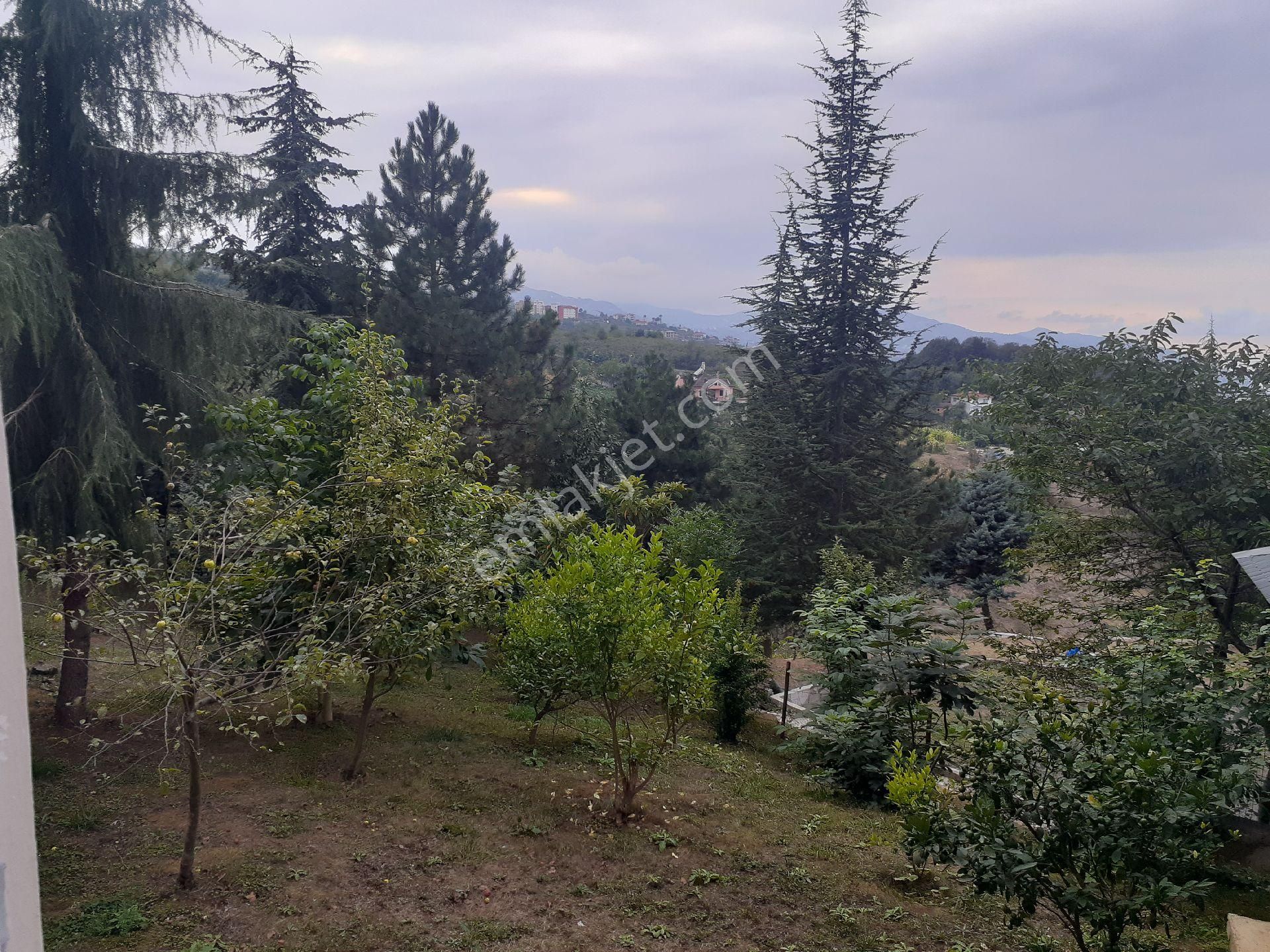 Golden Key Gayrimenkul'den Satılık Eşyalı Daire - Görsel 9