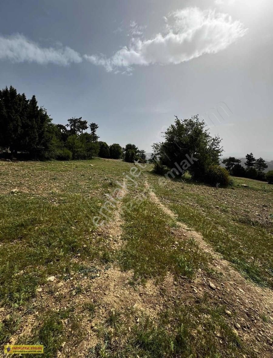 Gölhisar Yeşilyurt Yaylasında Satılık Tarla - Görsel 4