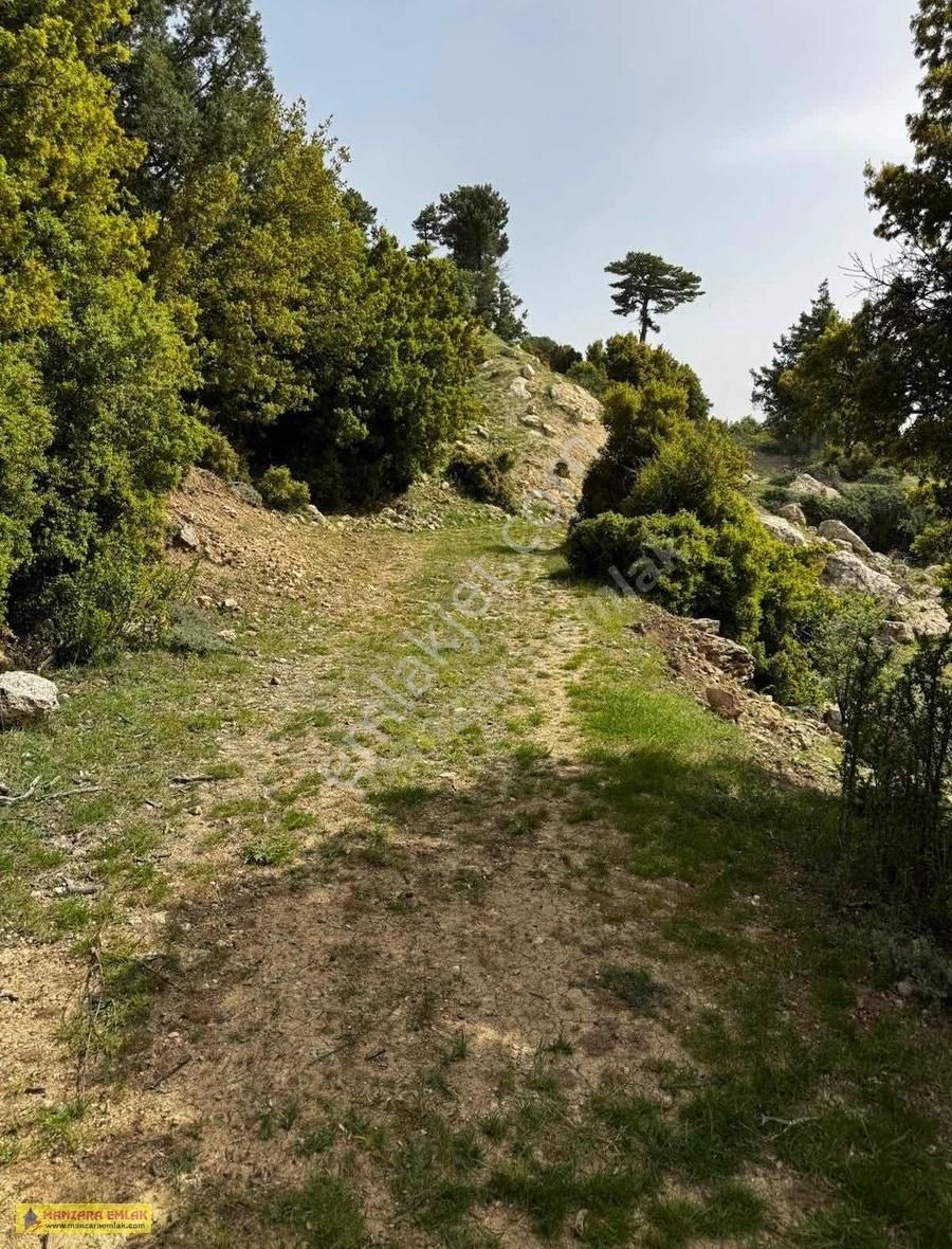 Gölhisar Yeşilyurt Yaylasında Satılık Tarla - Görsel 3