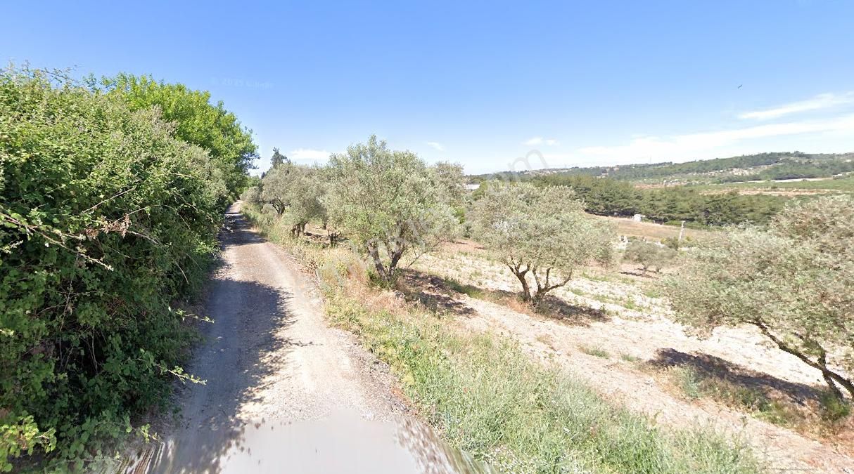 Buca Karaağaç 'ta Satılık Tarla - Görsel 5