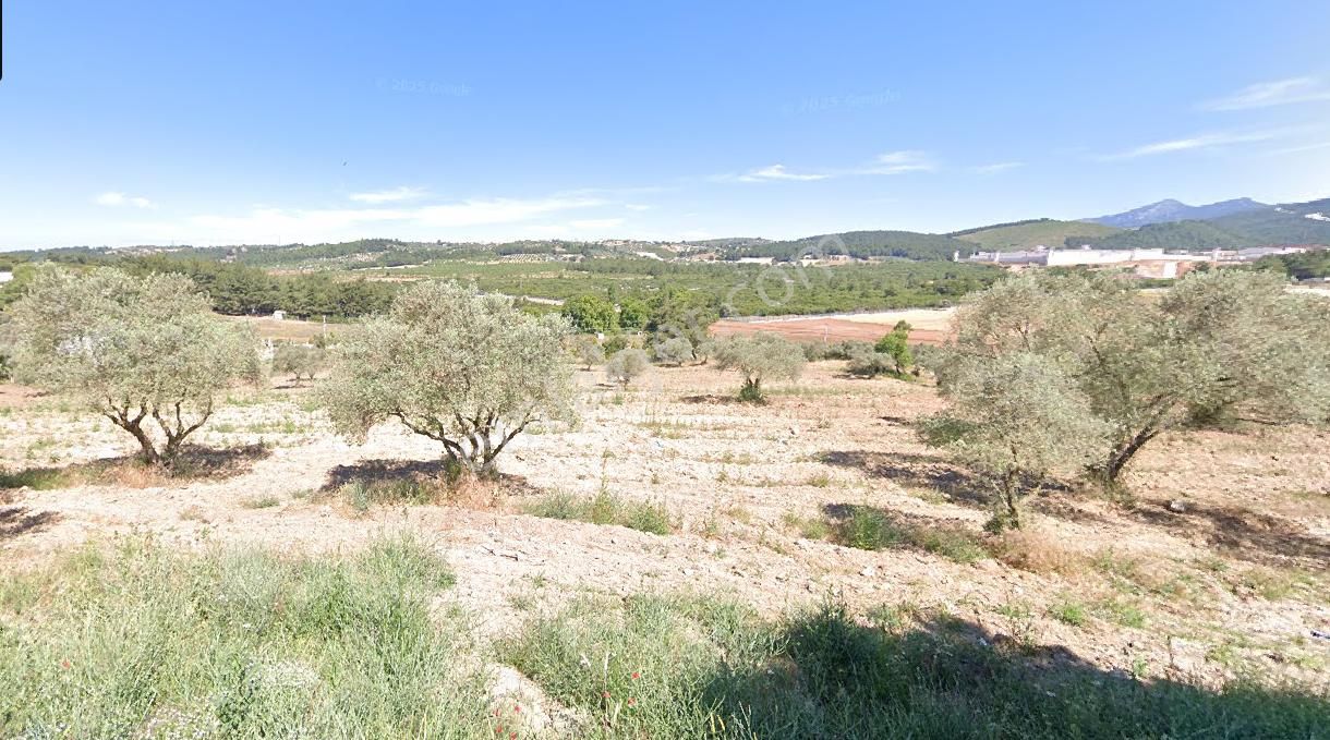 Buca Karaağaç 'ta Satılık Tarla - Görsel 4