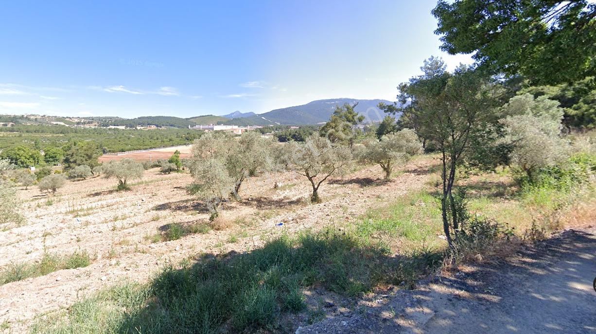 Buca Karaağaç 'ta Satılık Tarla - Görsel 3