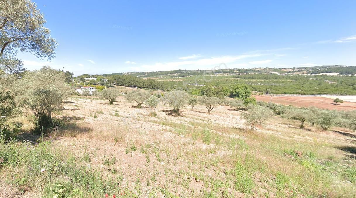 Buca Karaağaç 'ta Satılık Tarla - Görsel 6