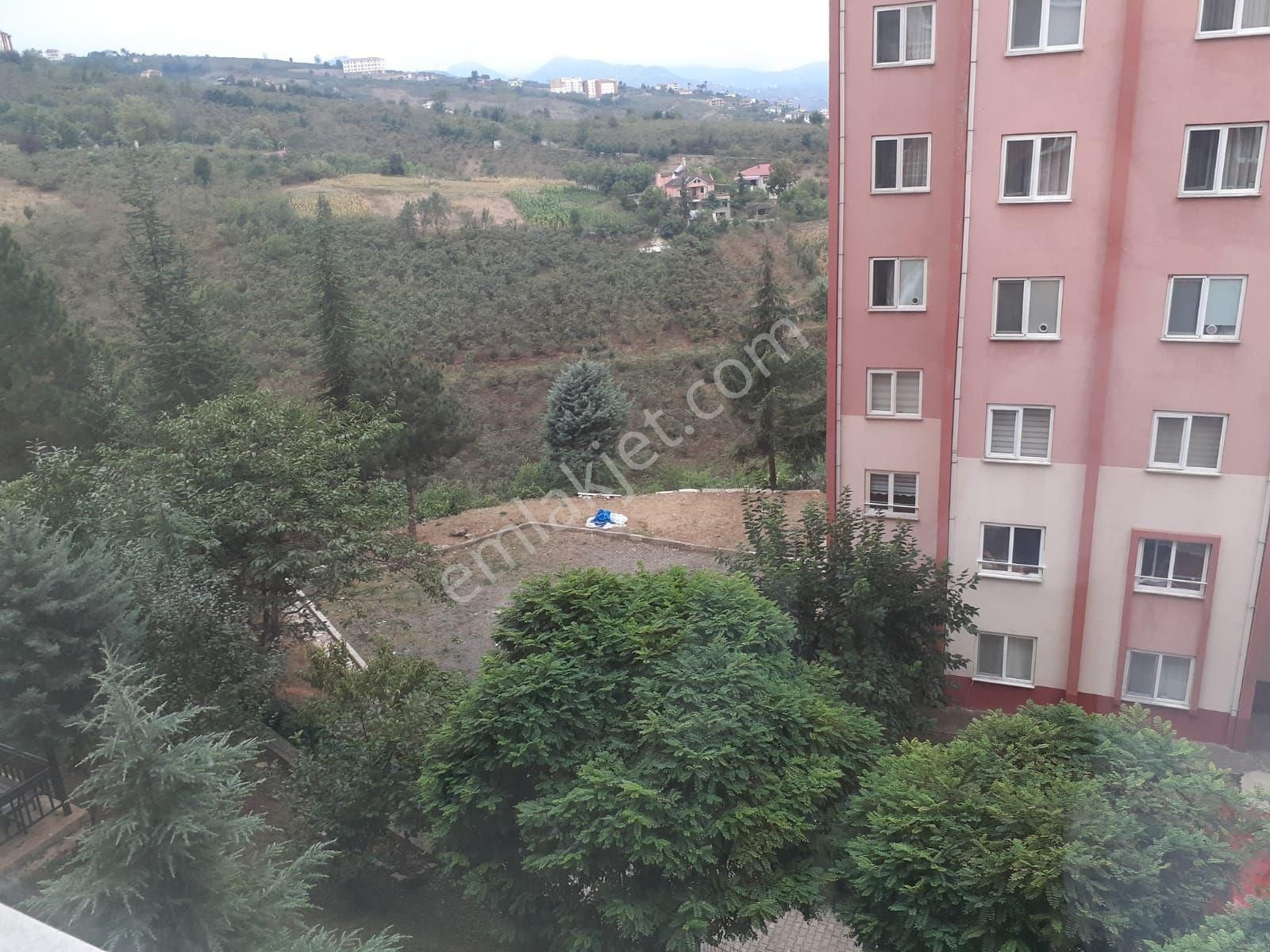 Golden Key Gayrimenkul'den Satılık Eşyalı Daire - Görsel 15