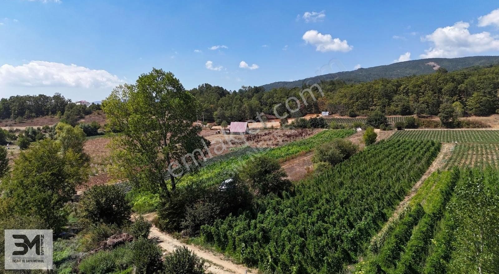 Sakarya Pamukova Kemaliye 1273 M2 Dere Kenarı Resmi Yollu Fırsat - Görsel 3