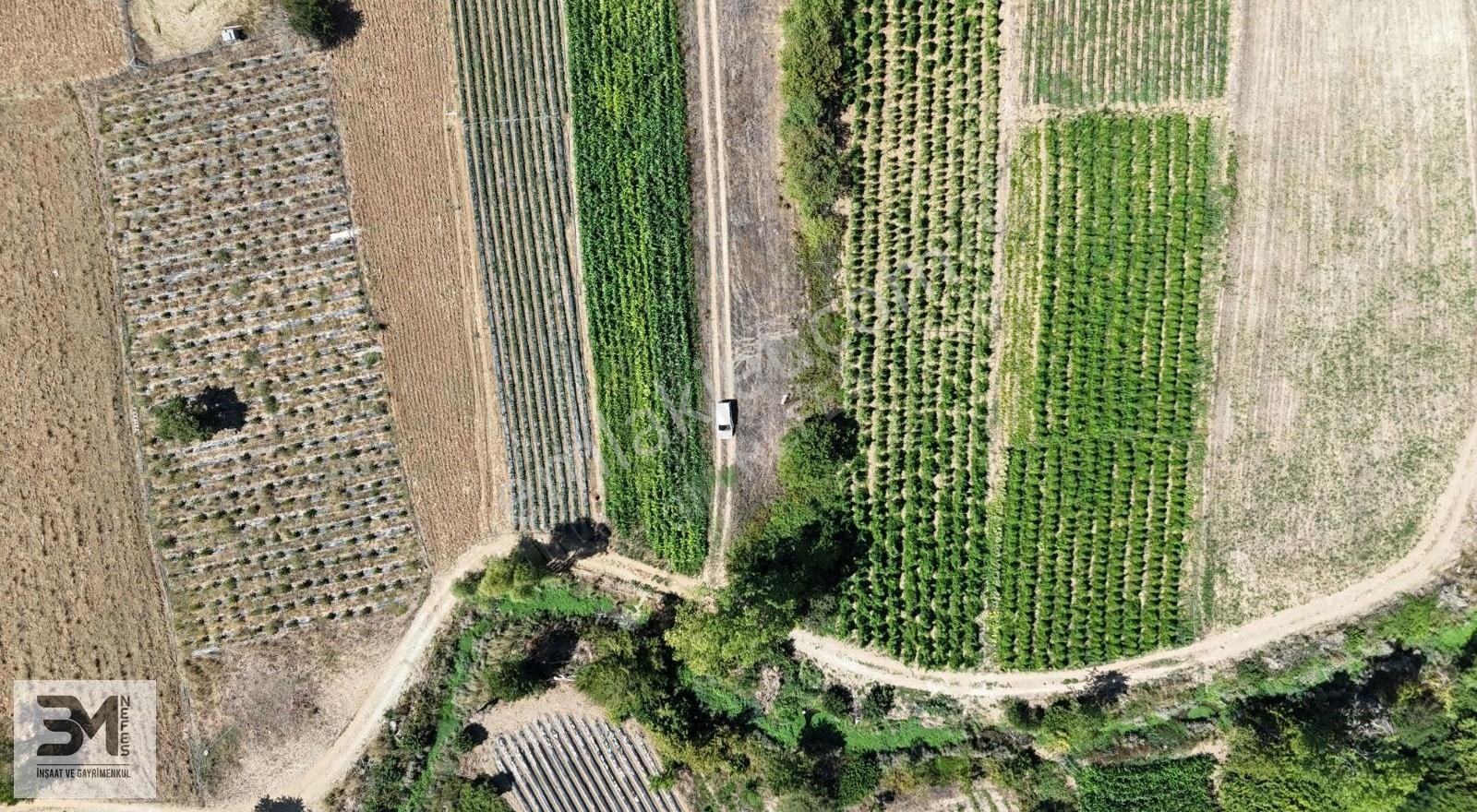 Sakarya Pamukova Kemaliye 1273 M2 Dere Kenarı Resmi Yollu Fırsat - Görsel 5