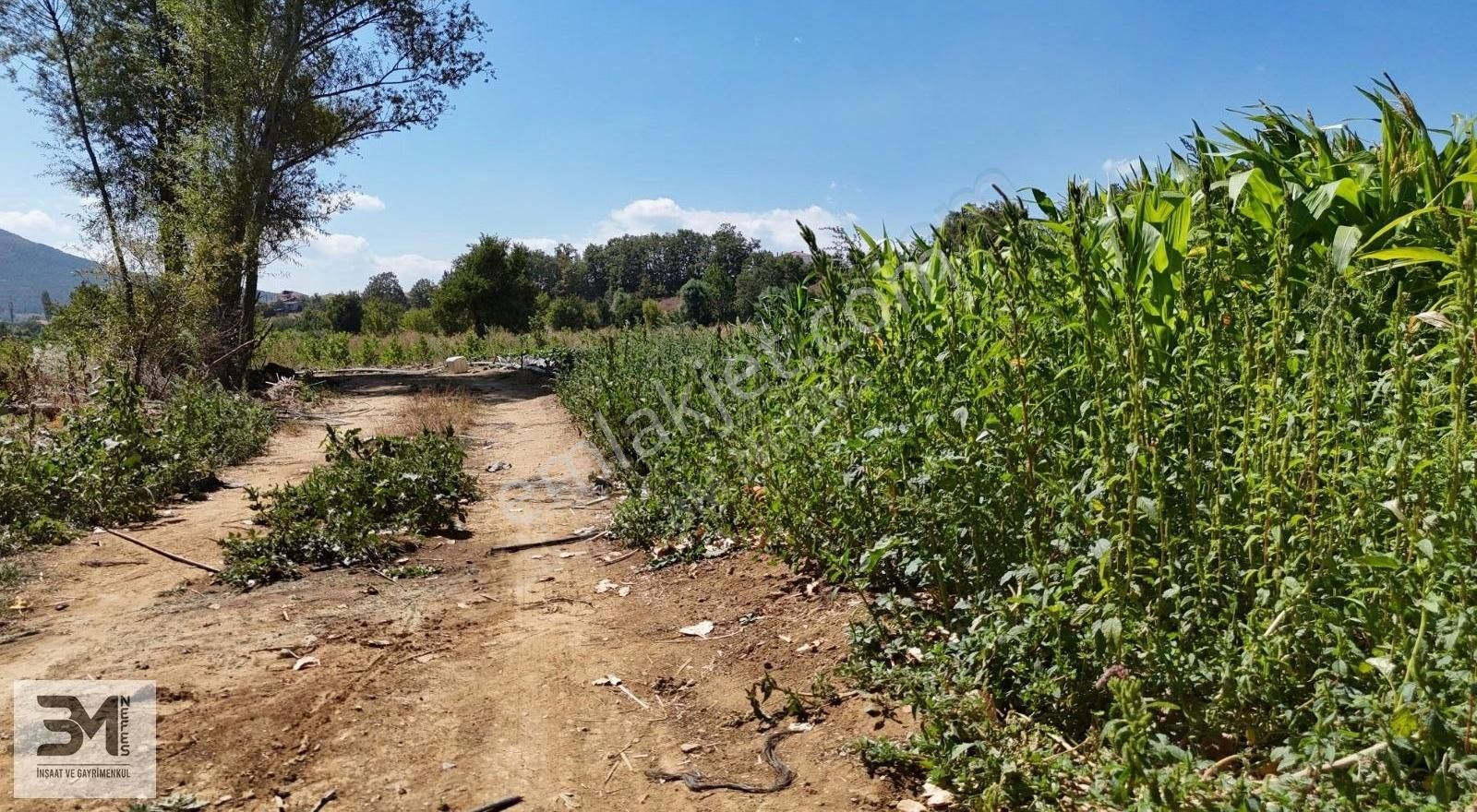 Sakarya Pamukova Kemaliye 1273 M2 Dere Kenarı Resmi Yollu Fırsat - Görsel 12
