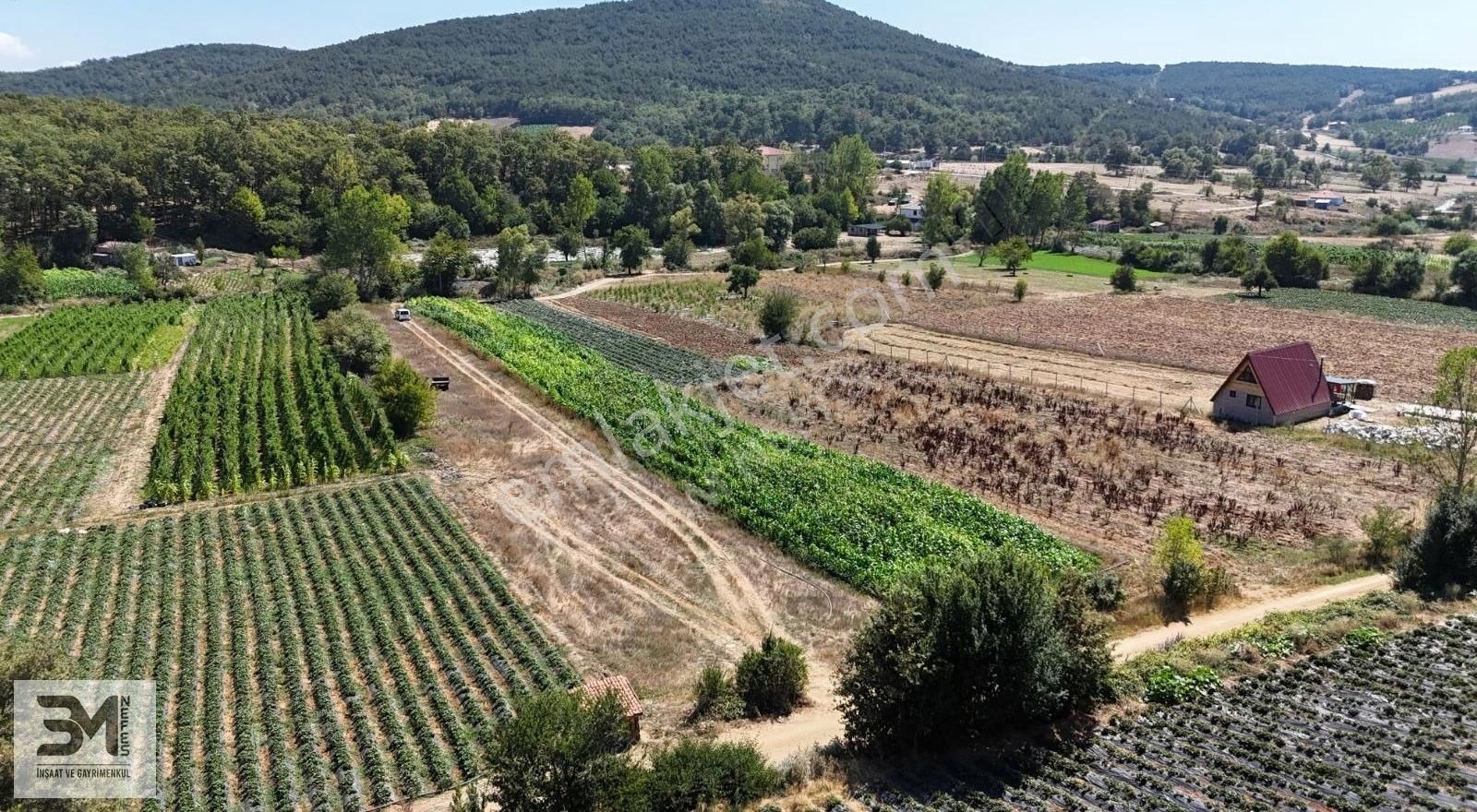 Sakarya Pamukova Kemaliye 1273 M2 Dere Kenarı Resmi Yollu Fırsat - Görsel 31