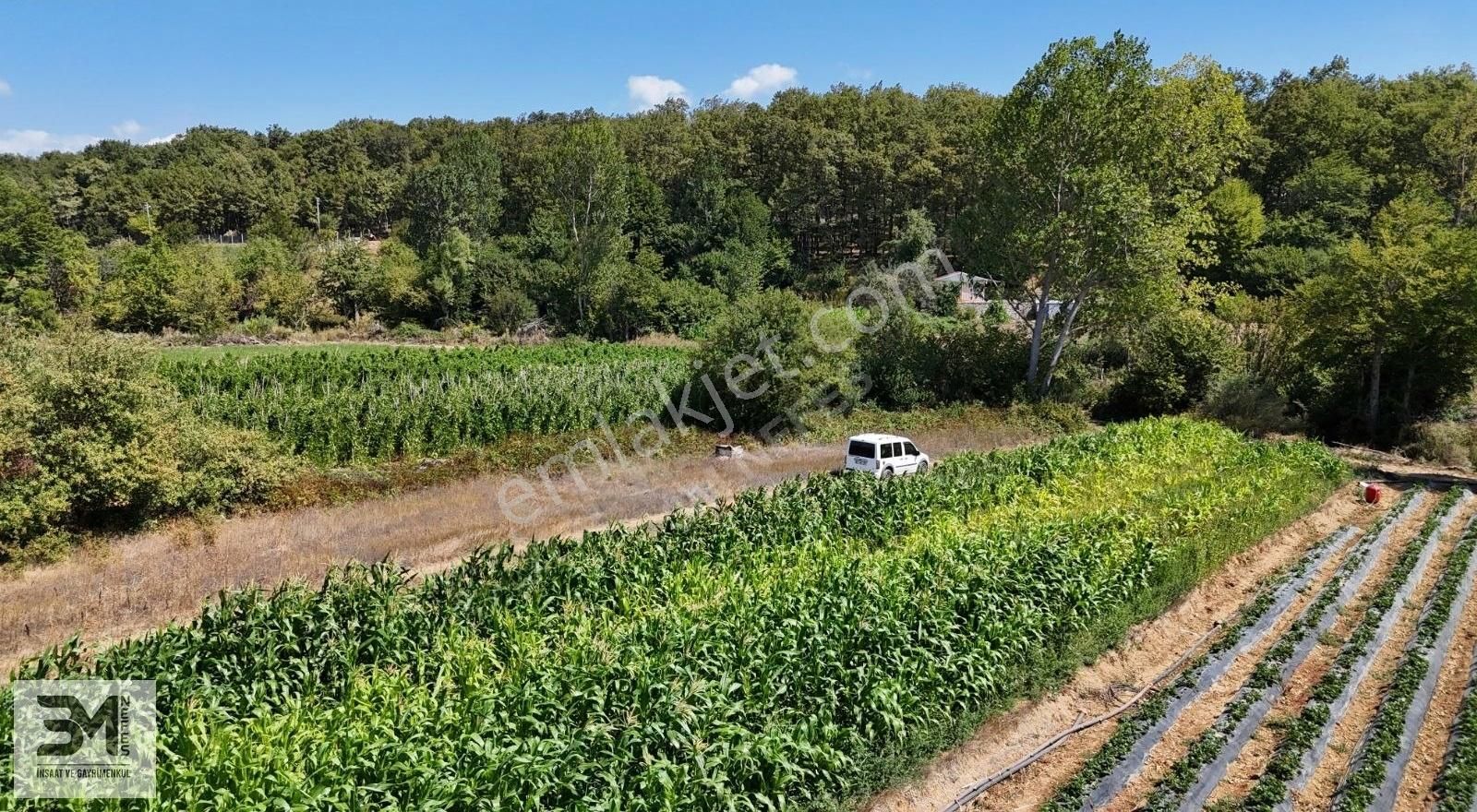 Sakarya Pamukova Kemaliye 1273 M2 Dere Kenarı Resmi Yollu Fırsat - Görsel 2
