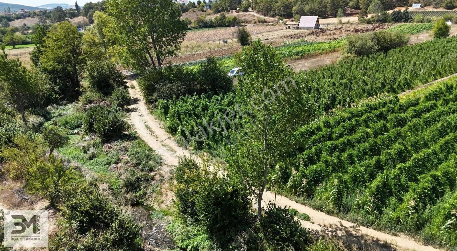 Sakarya Pamukova Kemaliye 1273 M2 Dere Kenarı Resmi Yollu Fırsat - Görsel 4