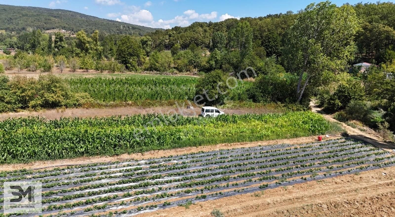 Sakarya Pamukova Kemaliye 1273 M2 Dere Kenarı Resmi Yollu Fırsat - Görsel 26