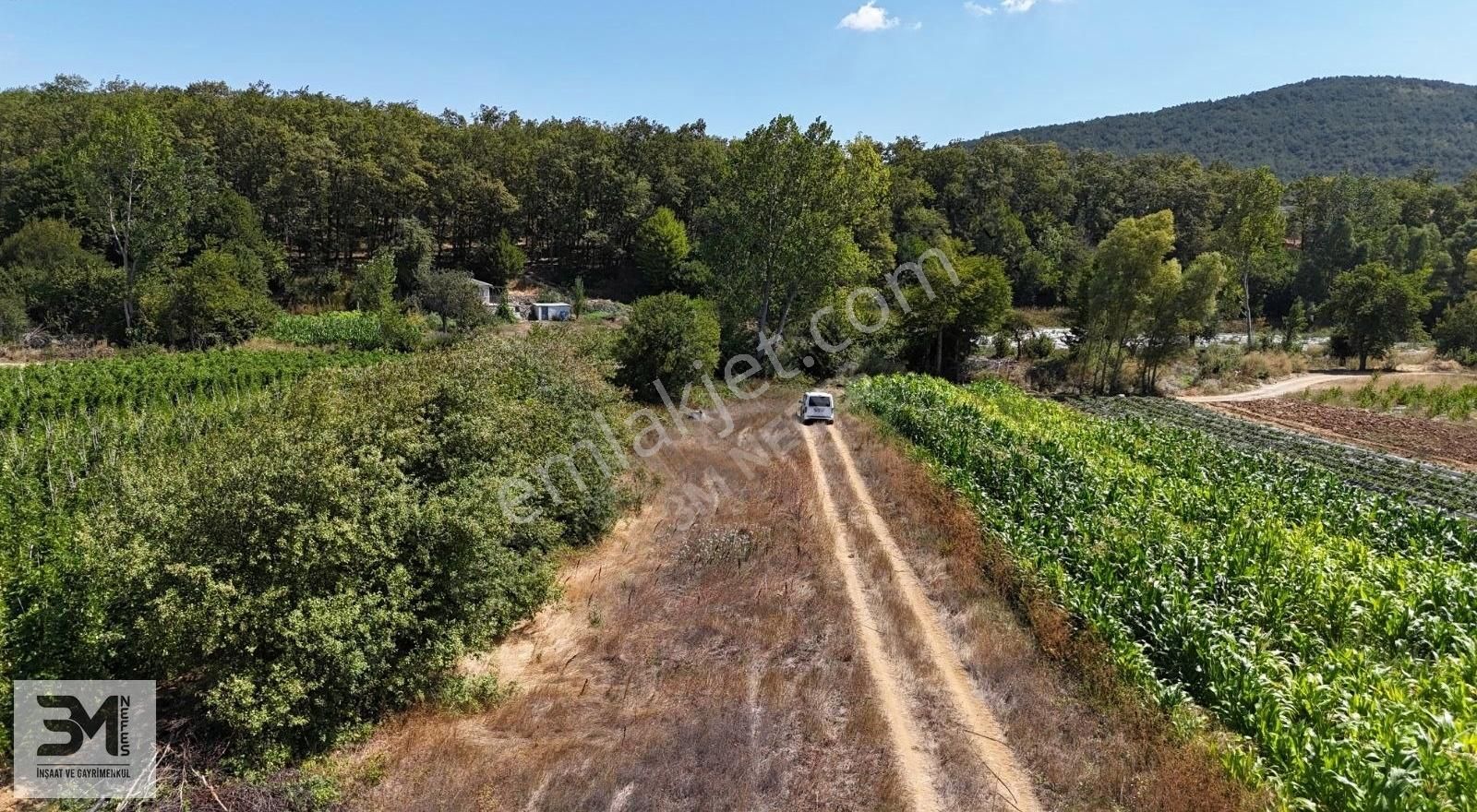 Sakarya Pamukova Kemaliye 1273 M2 Dere Kenarı Resmi Yollu Fırsat - Görsel 19