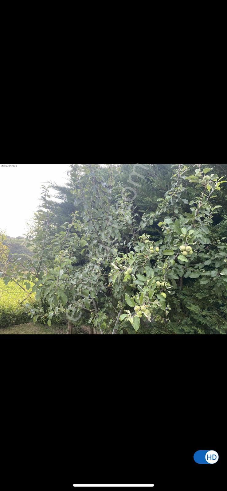 Çatalca İhsaniyede 400m Arsa İçinde Satılık Prefabrik Düşeş Kazandıracak Ev No:367 - Görsel 15