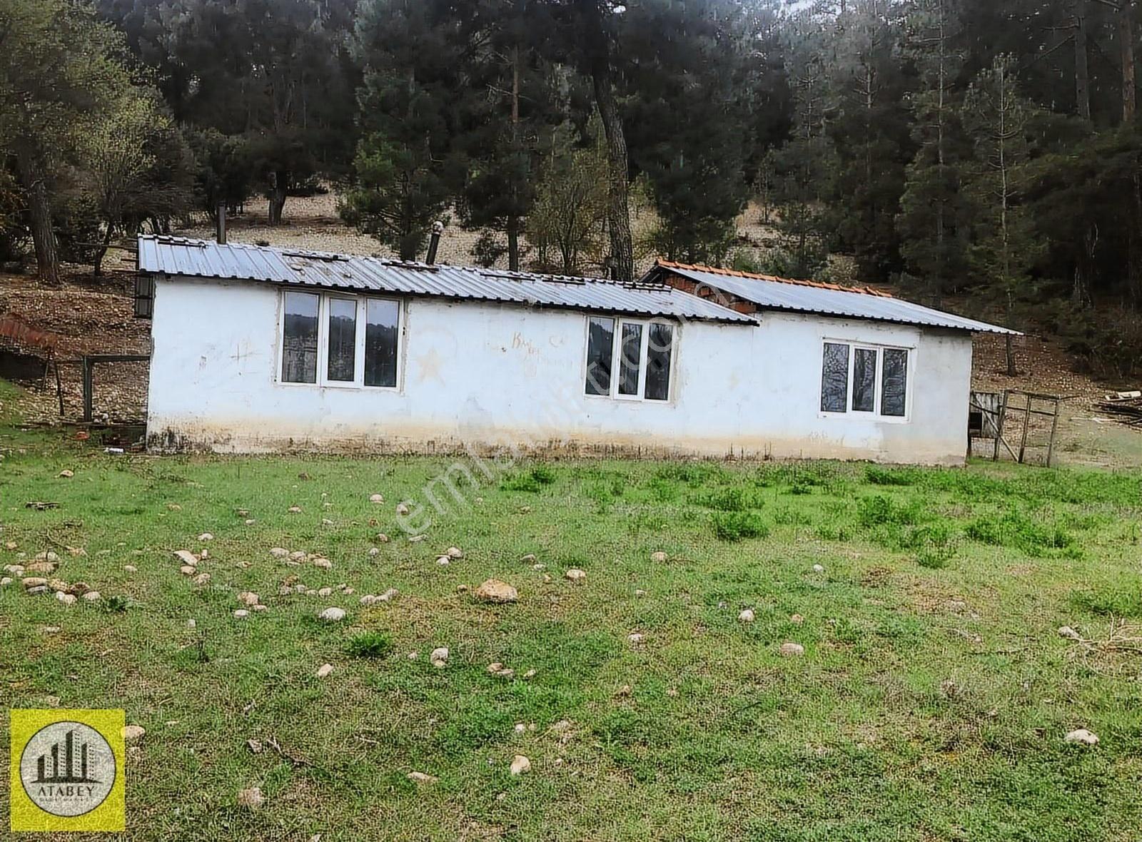 Denizli Acıpayam Gölcük Satılık Müstakil Ev Bahçe - Görsel 4