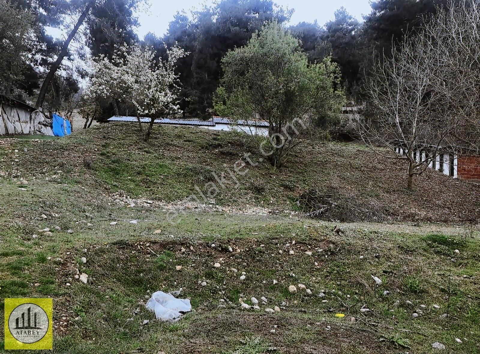 Denizli Acıpayam Gölcük Satılık Müstakil Ev Bahçe - Görsel 5