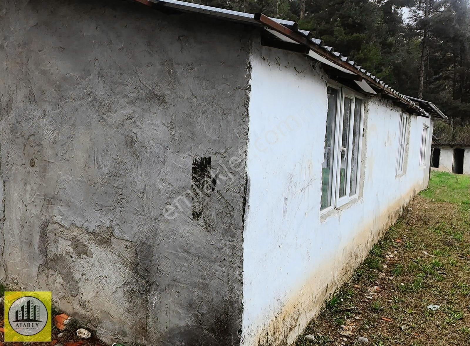 Denizli Acıpayam Gölcük Satılık Müstakil Ev Bahçe - Görsel 17
