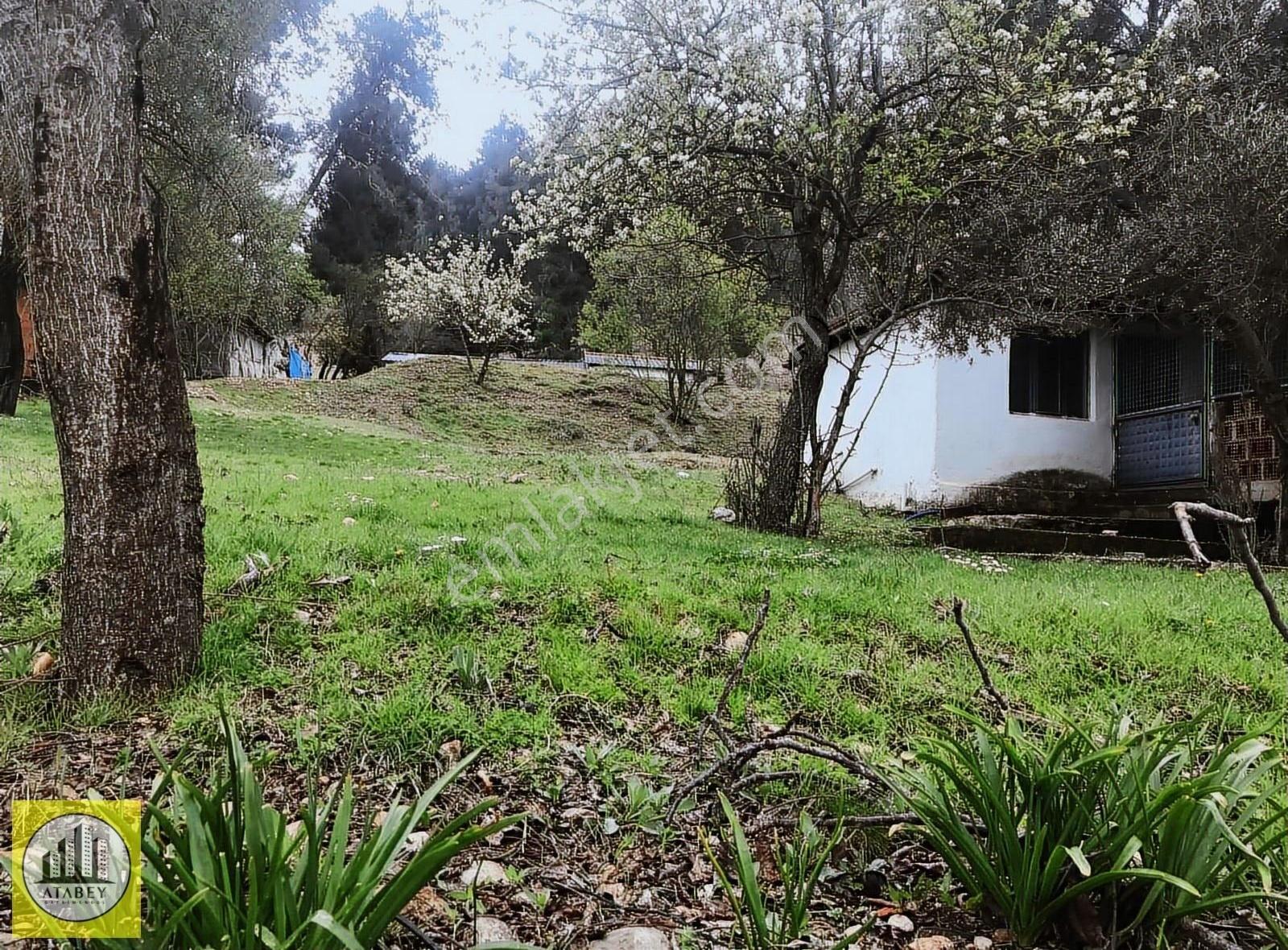 Denizli Acıpayam Gölcük Satılık Müstakil Ev Bahçe - Görsel 19