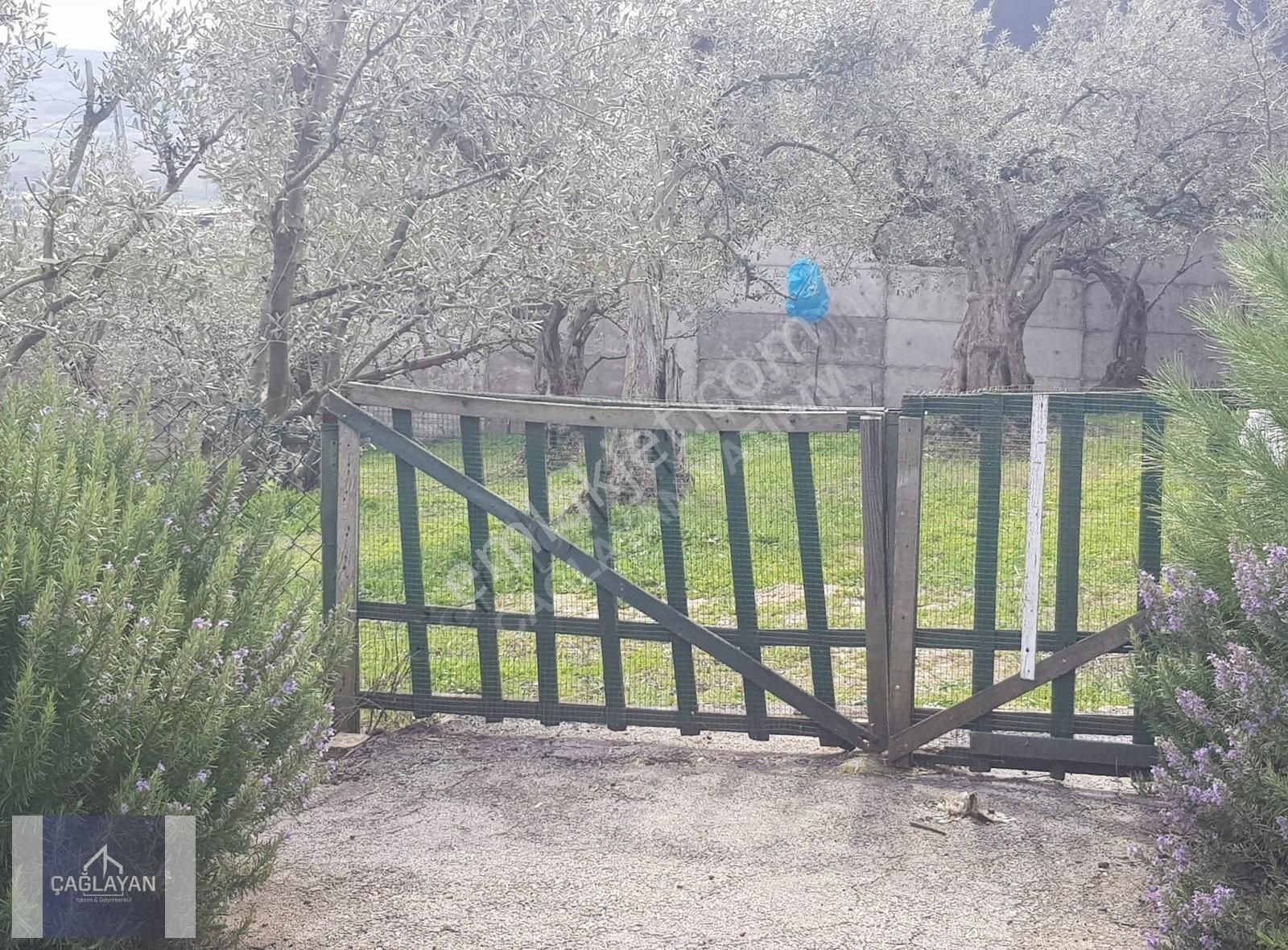 Bademli'de Mükemmel Konumda Satılık Villa Arsası - Görsel 5