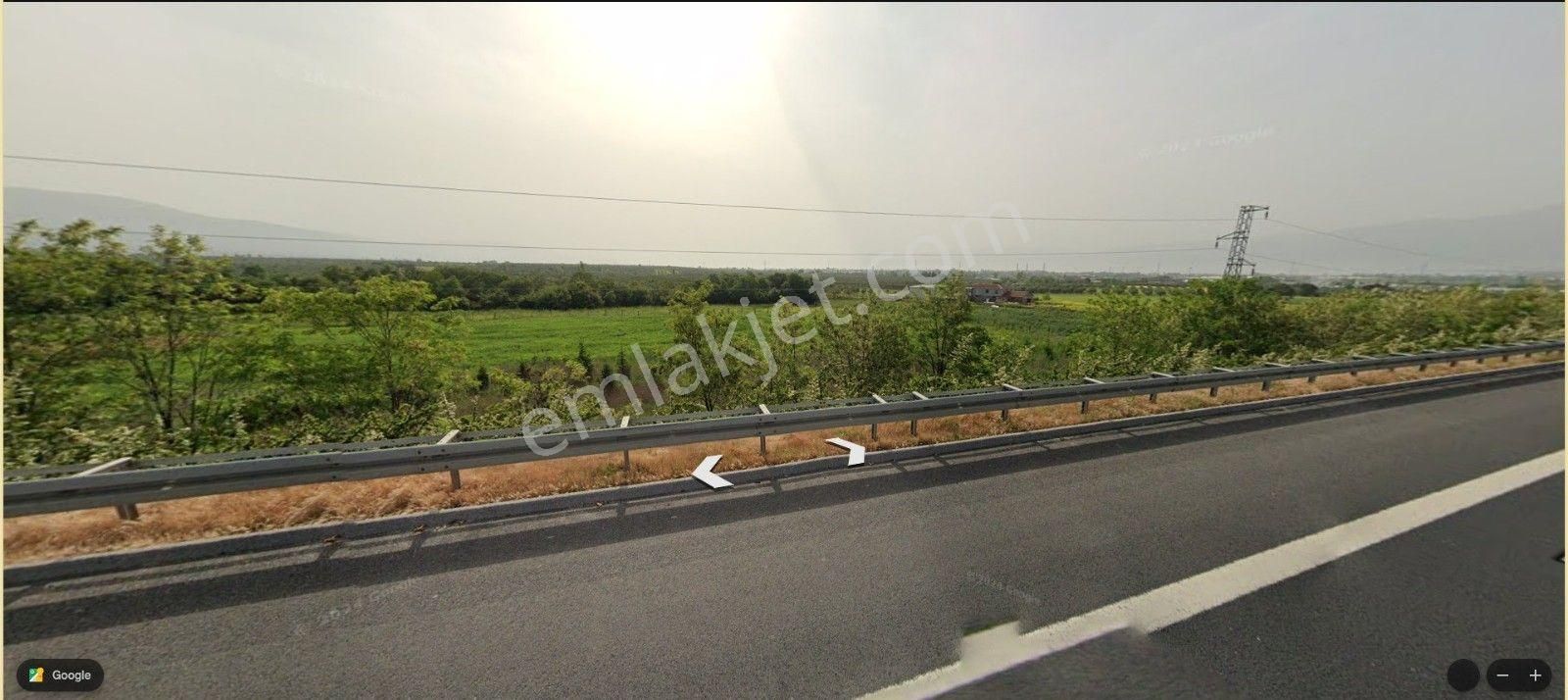 Alp Gayrimenkulden Satılık Bursa Orhangazi Yeni Köyde Satılık Çiftlik - Görsel 4