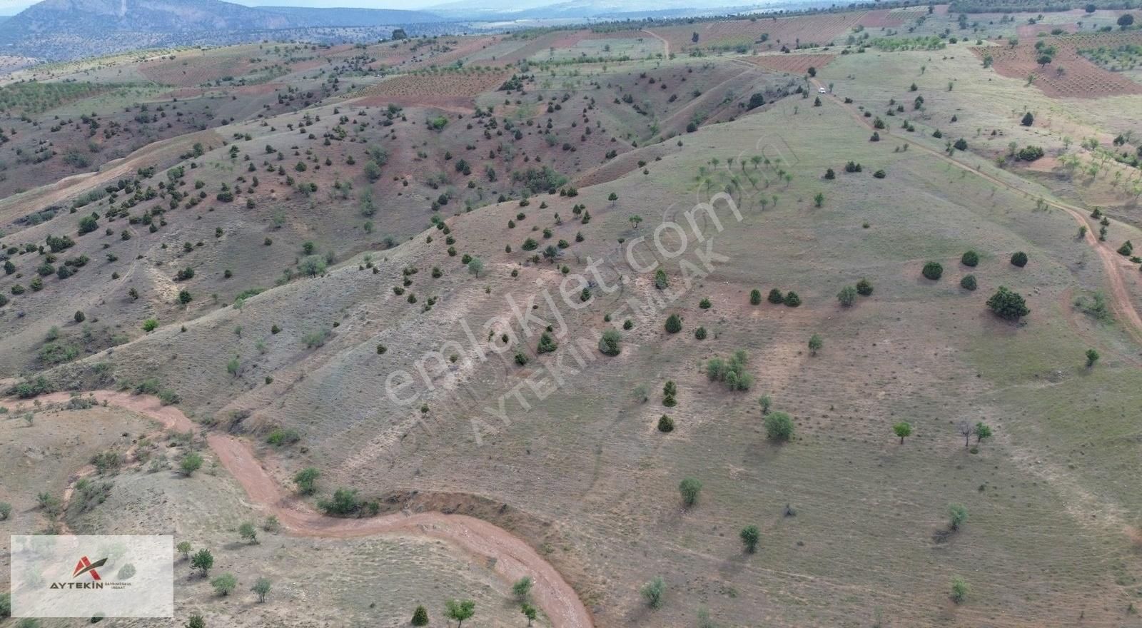 Güneysınır Bardas Da 4.163 M2 Müstakil Tapulu Bağ - Görsel 15