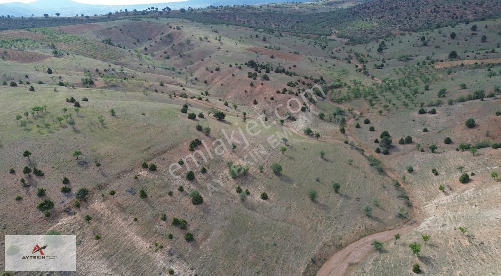 Güneysınır Bardas Da 4.163 M2 Müstakil Tapulu Bağ - Görsel 10