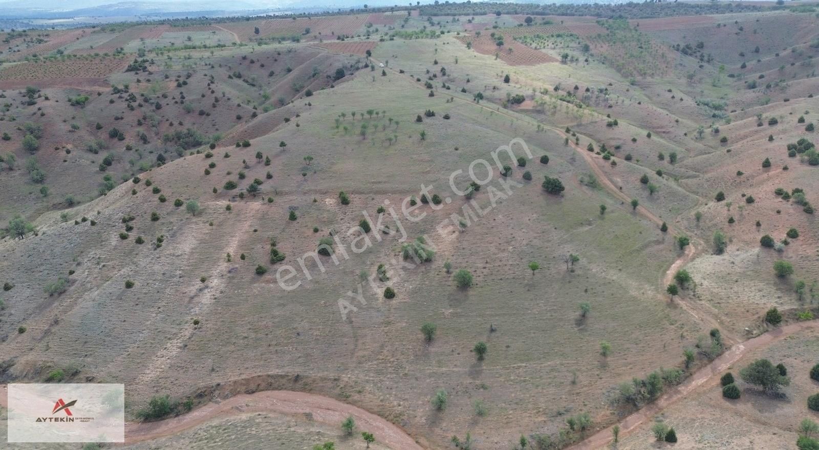 Güneysınır Bardas Da 4.163 M2 Müstakil Tapulu Bağ - Görsel 16