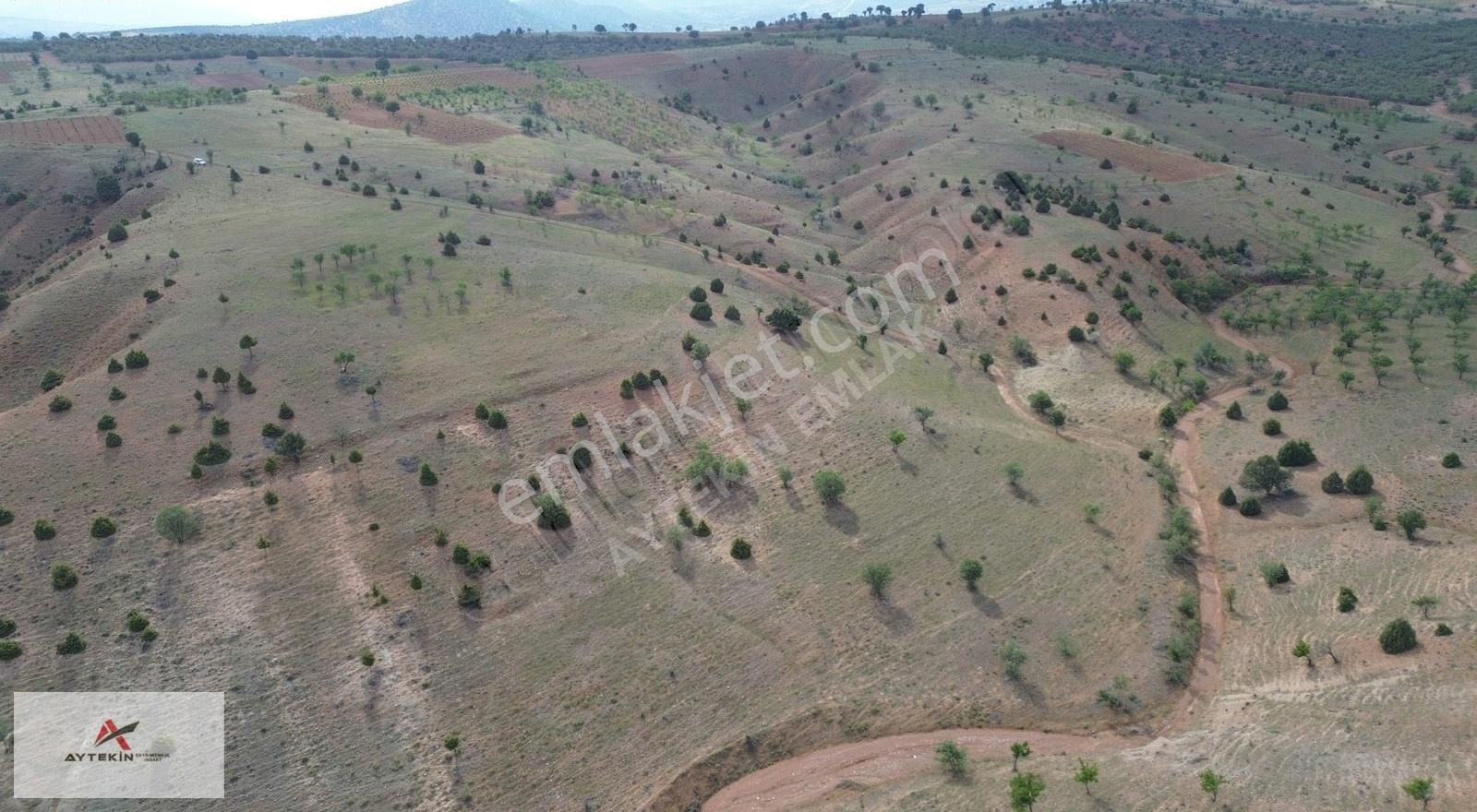 Güneysınır Bardas Da 4.163 M2 Müstakil Tapulu Bağ - Görsel 14