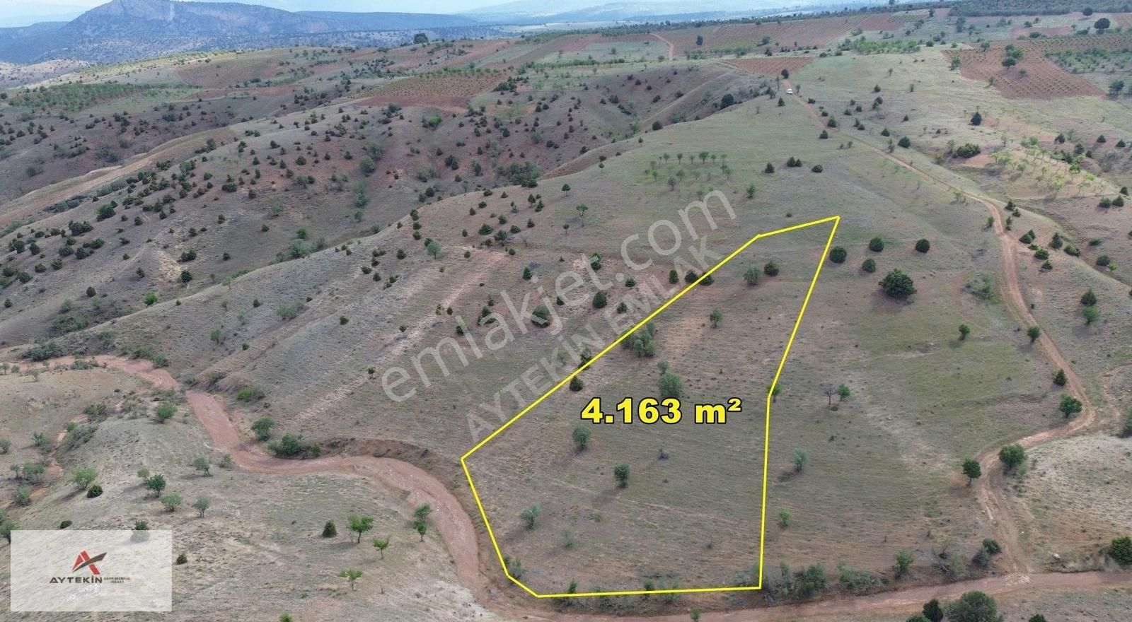 Güneysınır Bardas Da 4.163 M2 Müstakil Tapulu Bağ - Görsel 8