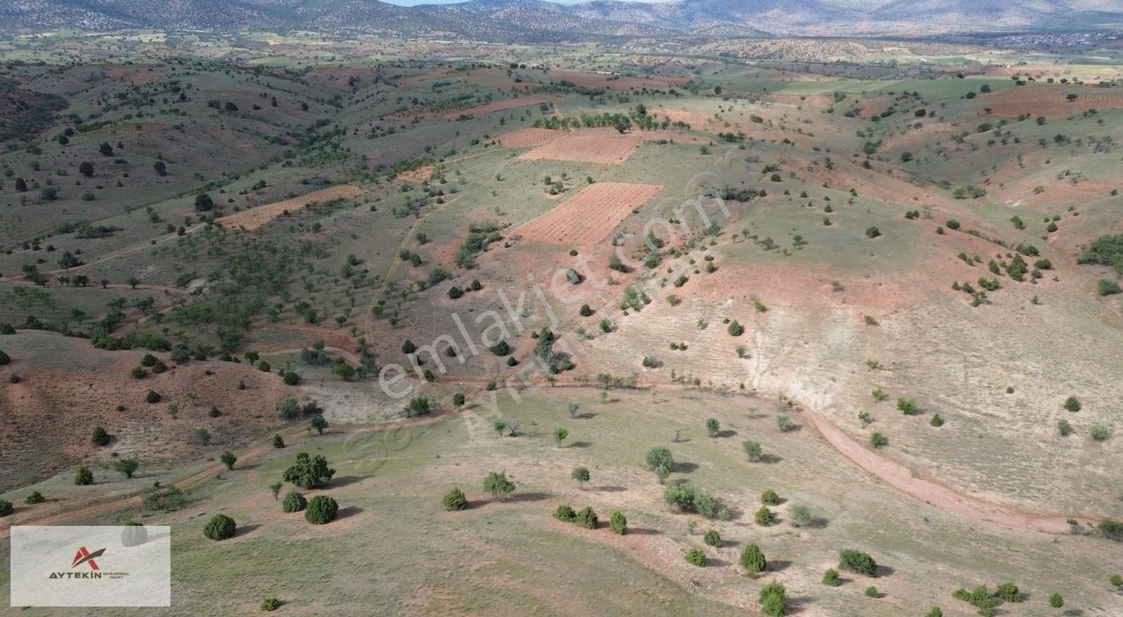 Güneysınır Bardas Da 4.163 M2 Müstakil Tapulu Bağ - Görsel 13