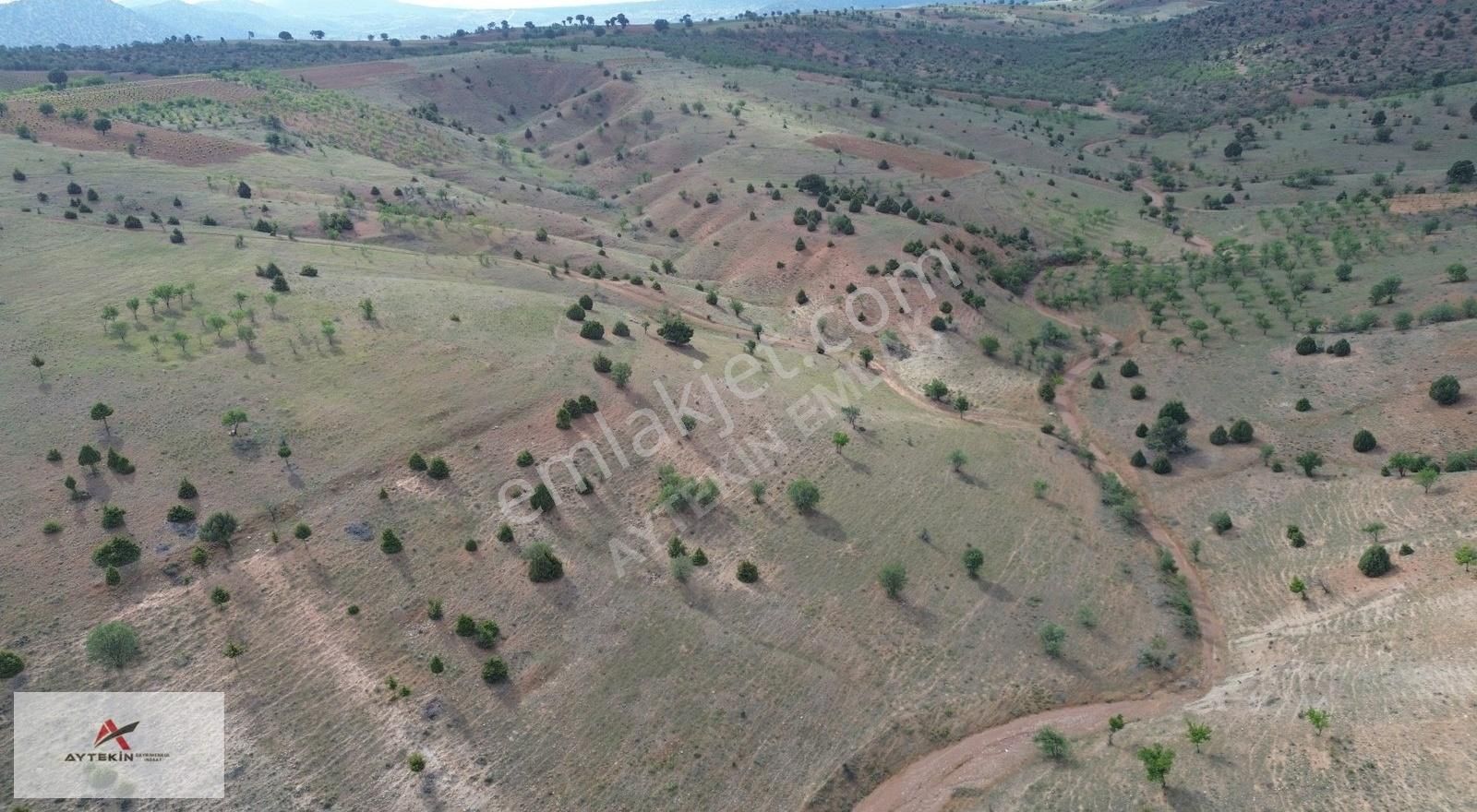 Güneysınır Bardas Da 4.163 M2 Müstakil Tapulu Bağ - Görsel 3