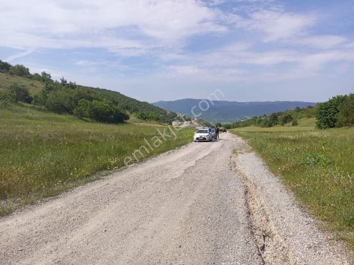 Yatırıma Uygun Yola Cephe Tarla - Görsel 2